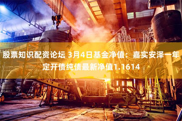 股票知识配资论坛 3月4日基金净值：嘉实安泽一年定开债纯债最新净值1.1614