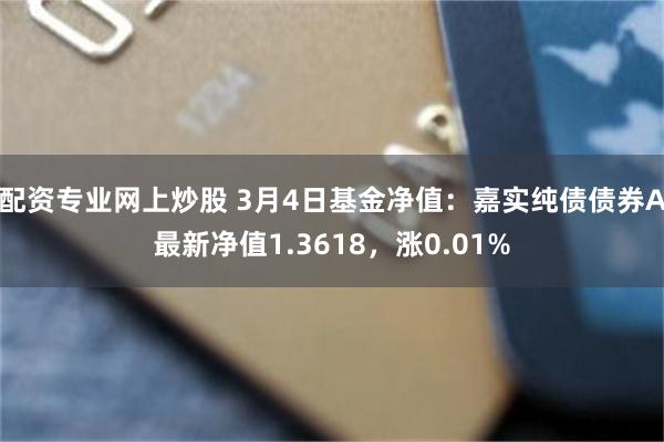 配资专业网上炒股 3月4日基金净值：嘉实纯债债券A最新净值1.3618，涨0.01%