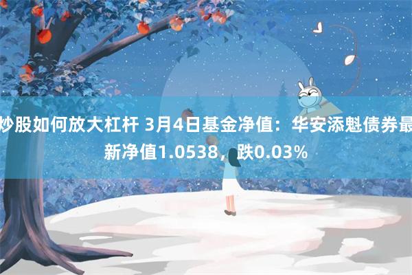 炒股如何放大杠杆 3月4日基金净值：华安添魁债券最新净值1.0538，跌0.03%