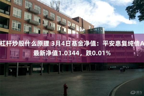 杠杆炒股什么原理 3月4日基金净值：平安惠复纯债A最新净值1.0344，跌0.01%