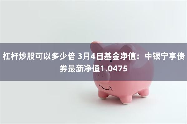 杠杆炒股可以多少倍 3月4日基金净值：中银宁享债券最新净值1.0475