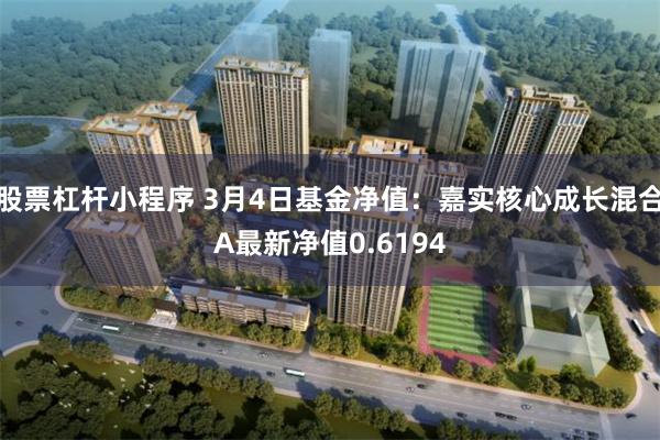 股票杠杆小程序 3月4日基金净值：嘉实核心成长混合A最新净值0.6194