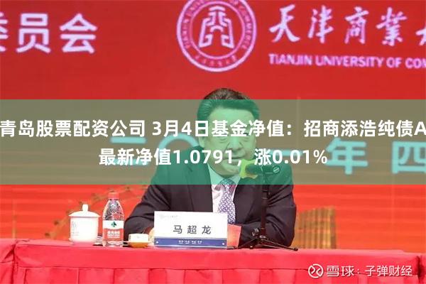 青岛股票配资公司 3月4日基金净值：招商添浩纯债A最新净值1.0791，涨0.01%