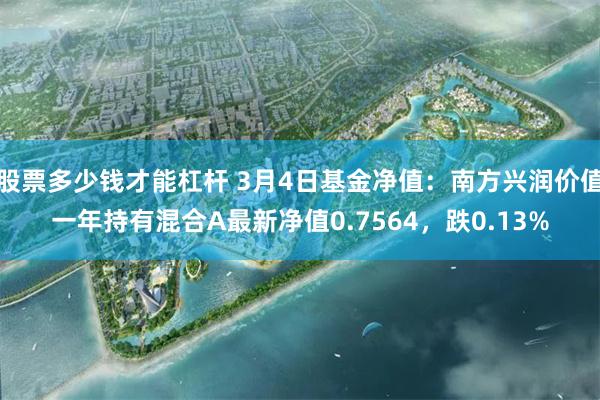 股票多少钱才能杠杆 3月4日基金净值：南方兴润价值一年持有混合A最新净值0.7564，跌0.13%