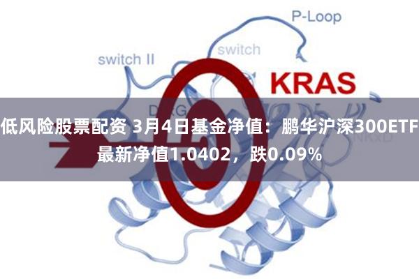 低风险股票配资 3月4日基金净值：鹏华沪深300ETF最新净值1.0402，跌0.09%