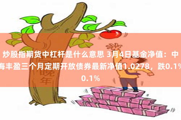 炒股指期货中杠杆是什么意思 3月4日基金净值：中海丰盈三个月定期开放债券最新净值1.0278，跌0.1%
