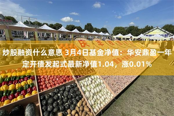 炒股融资什么意思 3月4日基金净值：华安鼎盈一年定开债发起式最新净值1.04，涨0.01%