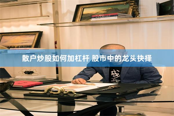 散户炒股如何加杠杆 股市中的龙头抉择