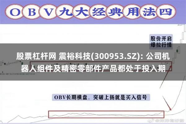 股票杠杆网 震裕科技(300953.SZ): 公司机器人组件及精密零部件产品都处于投入期