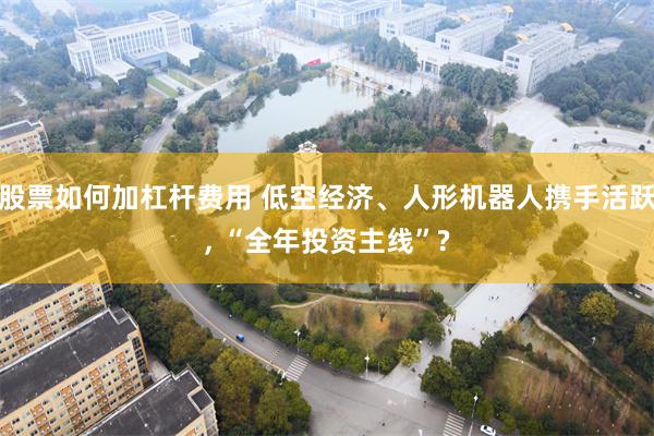 股票如何加杠杆费用 低空经济、人形机器人携手活跃, “全年投资主线”?