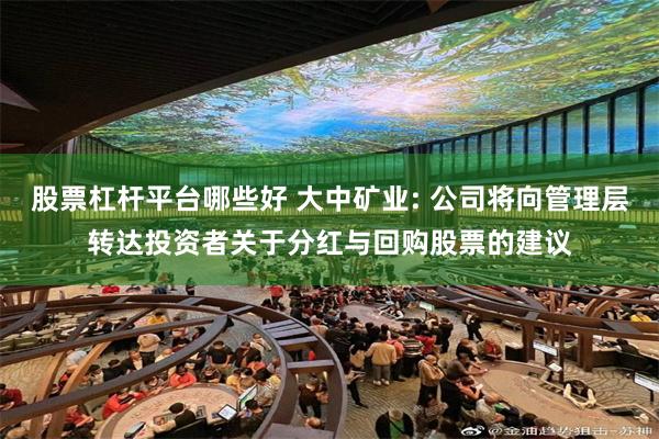 股票杠杆平台哪些好 大中矿业: 公司将向管理层转达投资者关于分红与回购股票的建议
