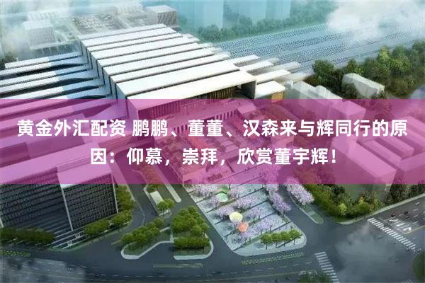 黄金外汇配资 鹏鹏、董董、汉森来与辉同行的原因：仰慕，崇拜，欣赏董宇辉！