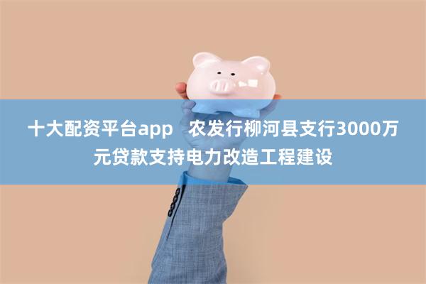 十大配资平台app   农发行柳河县支行3000万元贷款支持电力改造工程建设