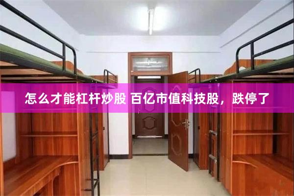 怎么才能杠杆炒股 百亿市值科技股，跌停了