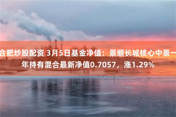 合肥炒股配资 3月5日基金净值：景顺长城核心中景一年持有混合最新净值0.7057，涨1.29%