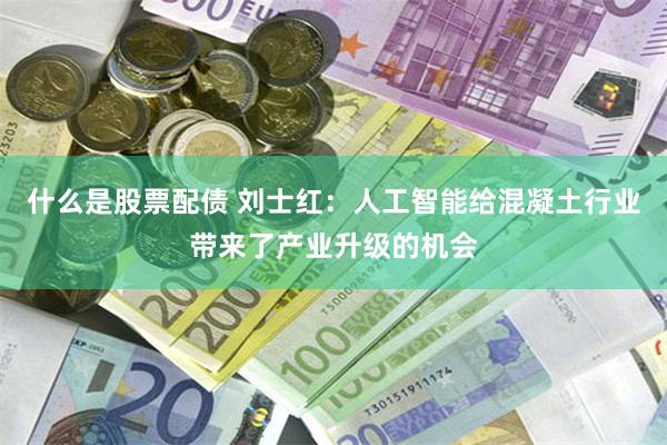 什么是股票配债 刘士红：人工智能给混凝土行业带来了产业升级的机会
