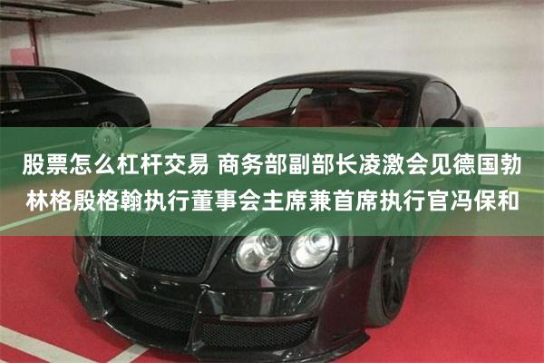股票怎么杠杆交易 商务部副部长凌激会见德国勃林格殷格翰执行董事会主席兼首席执行官冯保和