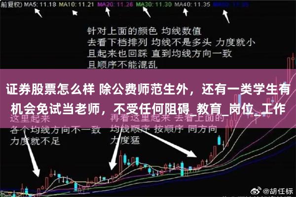 证券股票怎么样 除公费师范生外，还有一类学生有机会免试当老师，不受任何阻碍_教育_岗位_工作