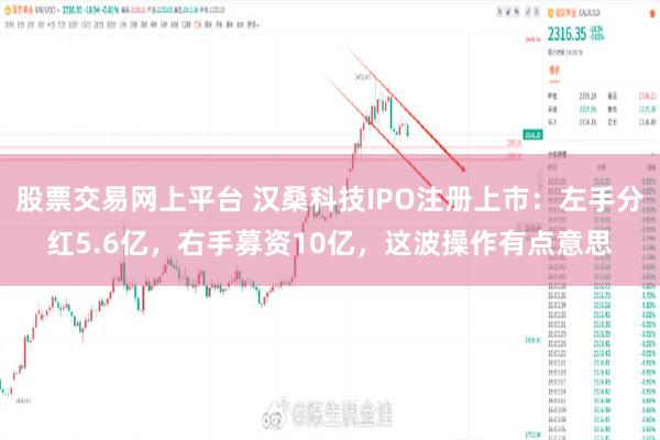 股票交易网上平台 汉桑科技IPO注册上市：左手分红5.6亿，右手募资10亿，这波操作有点意思