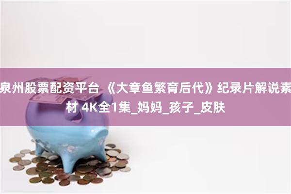 泉州股票配资平台 《大章鱼繁育后代》纪录片解说素材 4K全1集_妈妈_孩子_皮肤