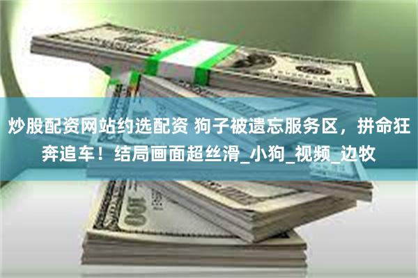 炒股配资网站约选配资 狗子被遗忘服务区，拼命狂奔追车！结局画面超丝滑_小狗_视频_边牧