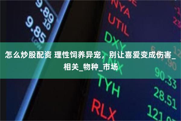怎么炒股配资 理性饲养异宠，别让喜爱变成伤害_相关_物种_市场