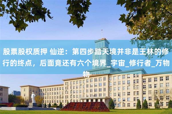 股票股权质押 仙逆：第四步踏天境并非是王林的修行的终点，后面竟还有六个境界_宇宙_修行者_万物