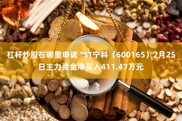 杠杆炒股在哪里申请 *ST宁科（600165）2月25日主力资金净买入411.47万元