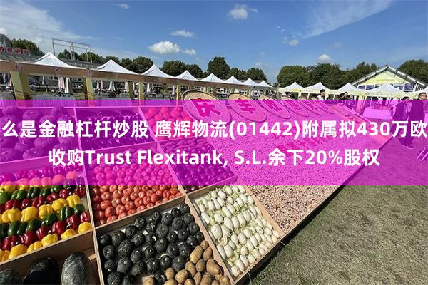 什么是金融杠杆炒股 鹰辉物流(01442)附属拟430万欧元收购Trust Flexitank, S.L.余下20%股权