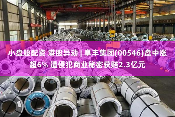 小盘股配资 港股异动 | 阜丰集团(00546)盘中涨超6% 遭侵犯商业秘密获赔2.3亿元