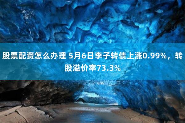 股票配资怎么办理 5月6日李子转债上涨0.99%，转股溢价率73.3%