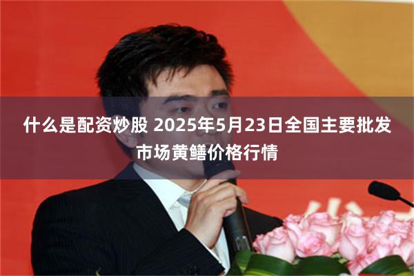 什么是配资炒股 2025年5月23日全国主要批发市场黄鳝价格行情
