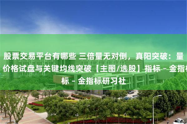 股票交易平台有哪些 三倍量无对倒，真阳突破：量能放大、价格试盘与关键均线突破【主图/选股】指标 – 金指标研习社