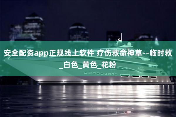 安全配资app正规线上软件 疗伤救命神草--临时救_白色_黄色_花粉
