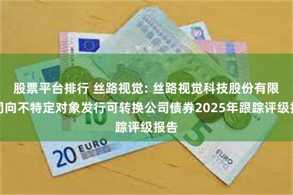股票平台排行 丝路视觉: 丝路视觉科技股份有限公司向不特定对象发行可转换公司债券2025年跟踪评级报告