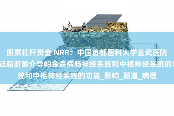 股票杠杆资金 NRR：中国首都医科大学宣武医院陈彪教授团队总结短链脂肪酸介导帕金森病肠神经系统和中枢神经系统的功能_影响_肠道_病理