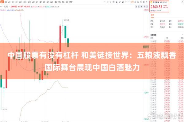 中国股票有没有杠杆 和美链接世界：五粮液飘香国际舞台展现中国白酒魅力