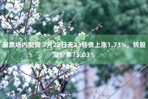 股票场内配资 7月22日天23转债上涨1.73%，转股溢价率75.03%