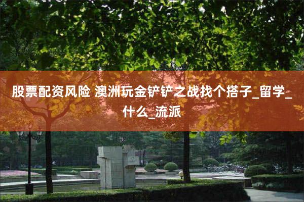 股票配资风险 澳洲玩金铲铲之战找个搭子_留学_什么_流派