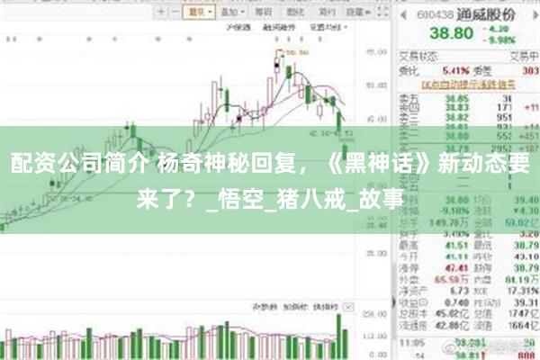 配资公司简介 杨奇神秘回复，《黑神话》新动态要来了？_悟空_猪八戒_故事