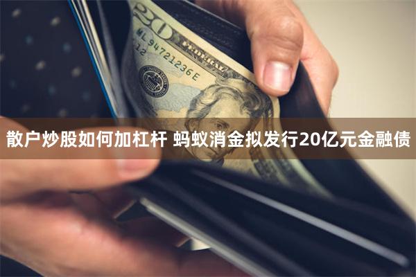 散户炒股如何加杠杆 蚂蚁消金拟发行20亿元金融债