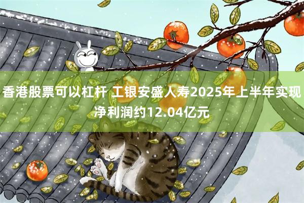 香港股票可以杠杆 工银安盛人寿2025年上半年实现净利润约12.04亿元