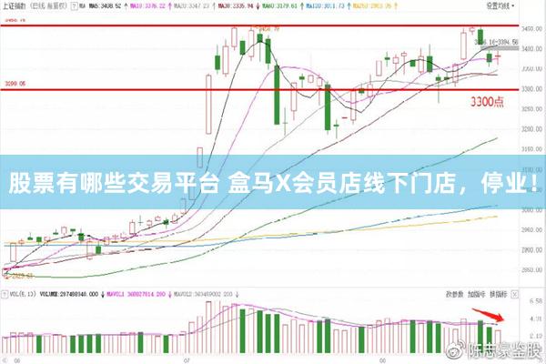 股票有哪些交易平台 盒马X会员店线下门店，停业！