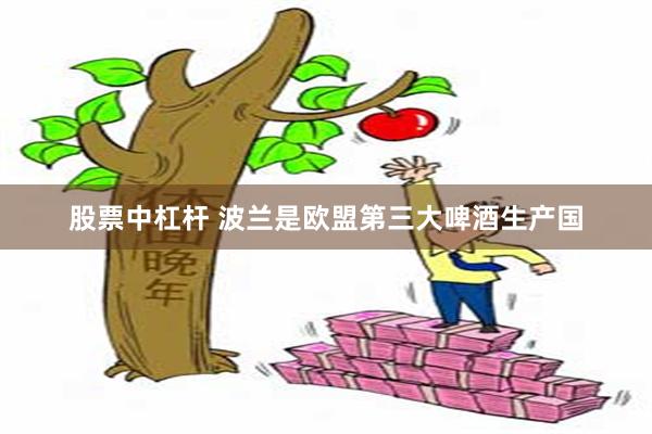股票中杠杆 波兰是欧盟第三大啤酒生产国