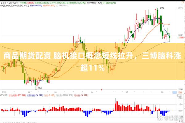商品期货配资 脑机接口概念短线拉升，三博脑科涨超11%