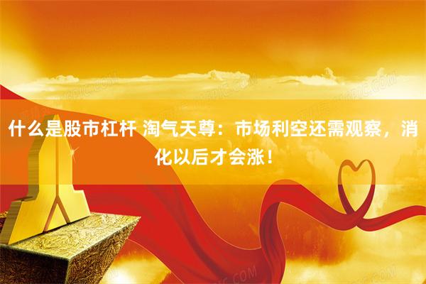 什么是股市杠杆 淘气天尊：市场利空还需观察，消化以后才会涨！