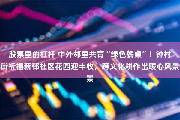股票里的杠杆 中外邻里共育“绿色餐桌”！钟村街祈福新邨社区花园迎丰收，跨文化耕作出暖心风景