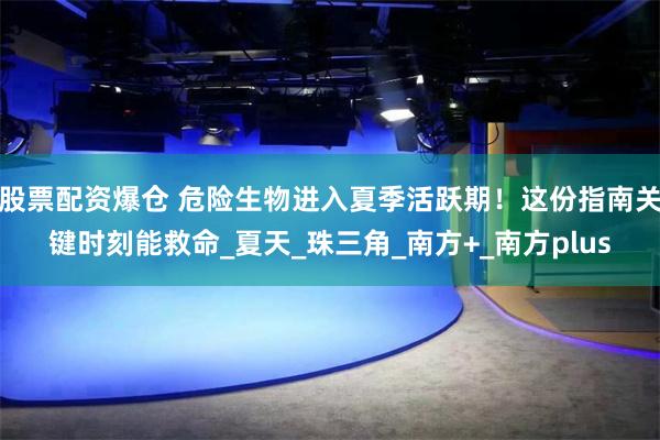 股票配资爆仓 危险生物进入夏季活跃期！这份指南关键时刻能救命_夏天_珠三角_南方+_南方plus