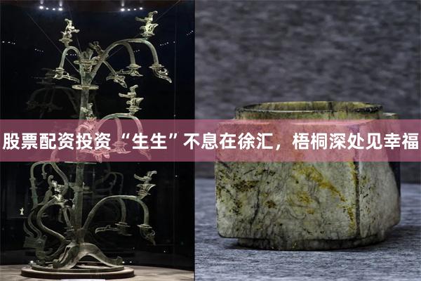 股票配资投资 “生生”不息在徐汇，梧桐深处见幸福