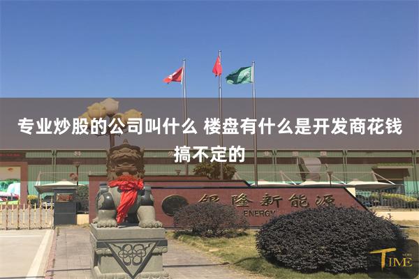 专业炒股的公司叫什么 楼盘有什么是开发商花钱搞不定的